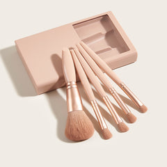 Make-up Brush Include 5 Different Brushes And Compaq Handy Mirror Outdoor Set
